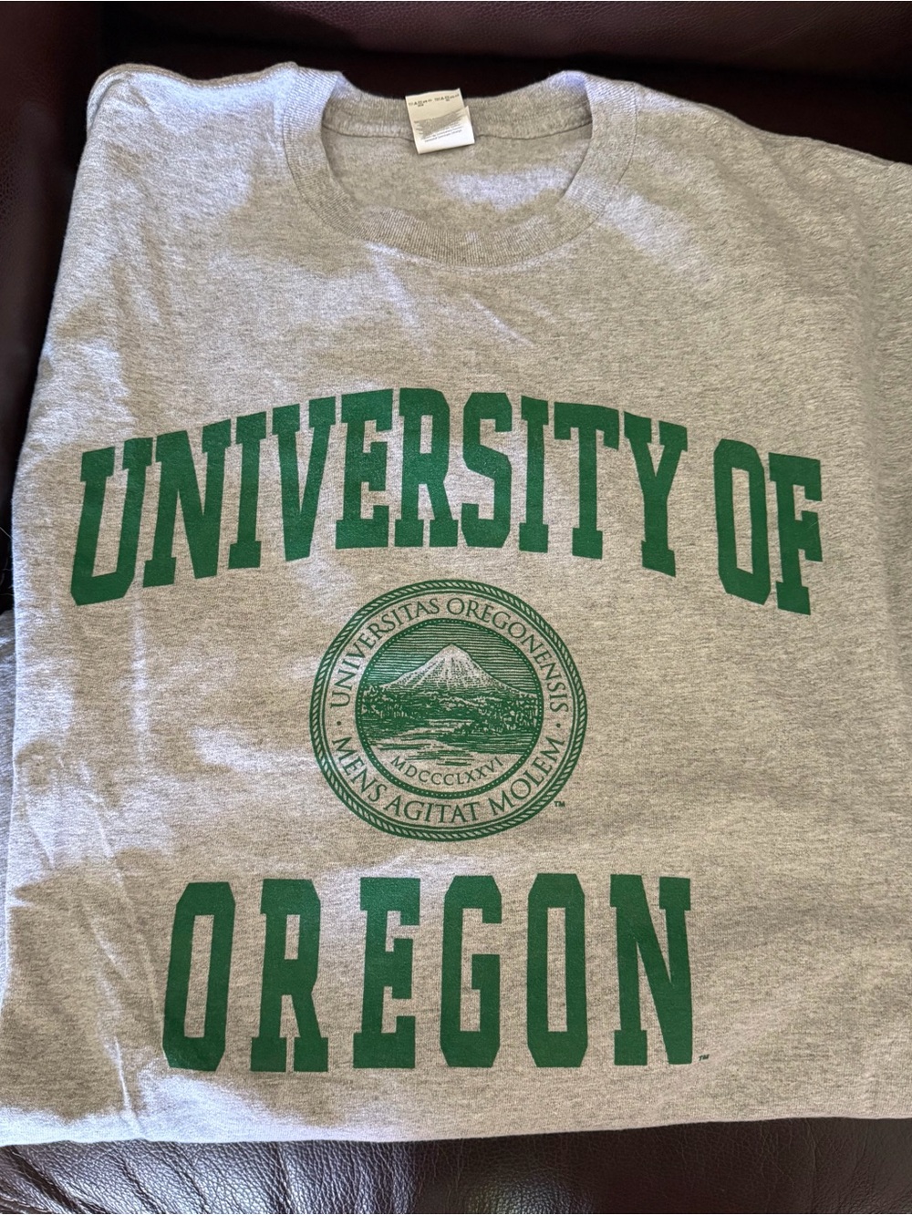 Gildan Gray Crewneck Sweatshirt with Green University Print